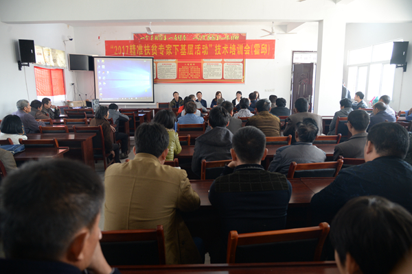 DSC_7787 - ����.JPG